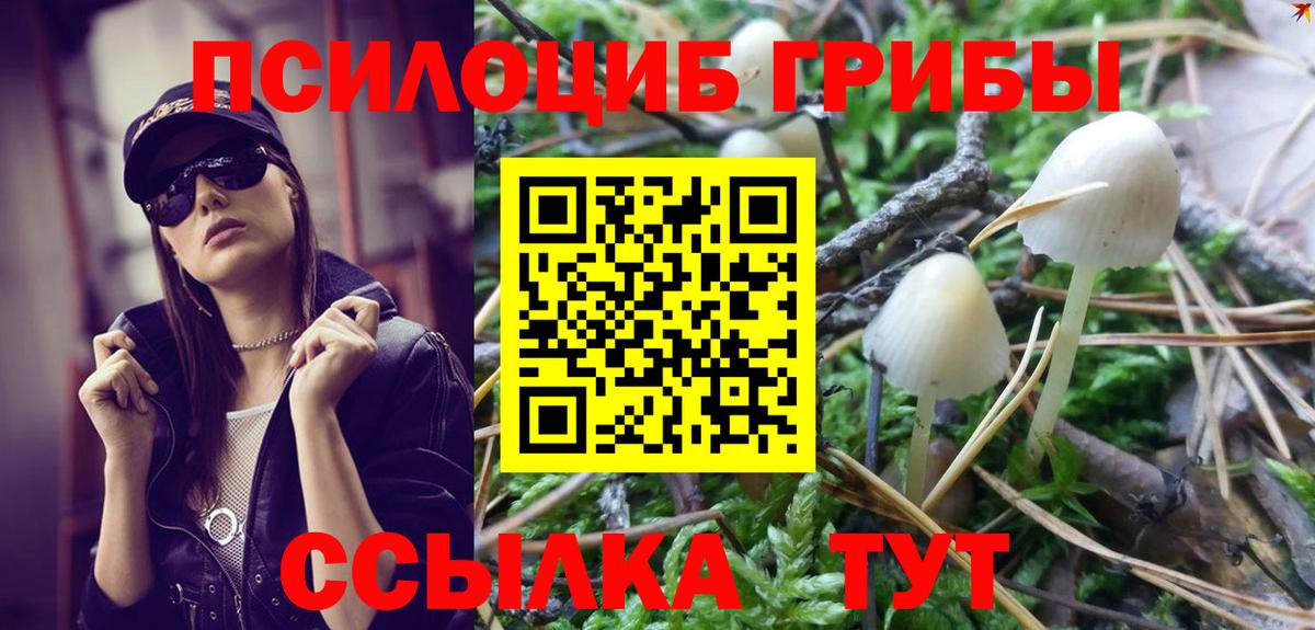 Галлюциногенные грибы MAGIC MUSHROOMS  Вход с VPN  Псилоцибиновые грибы MAGIC MUSHROOMS  Аргун 